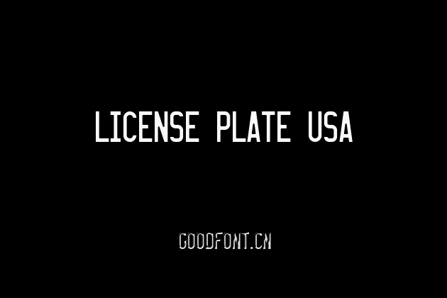 LICENSE PLATE USA
