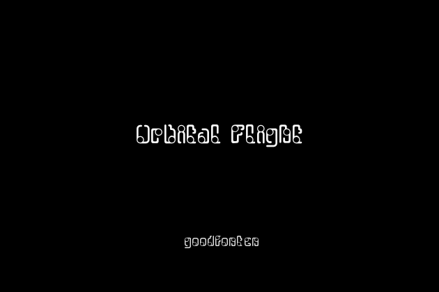 Orbital Flight