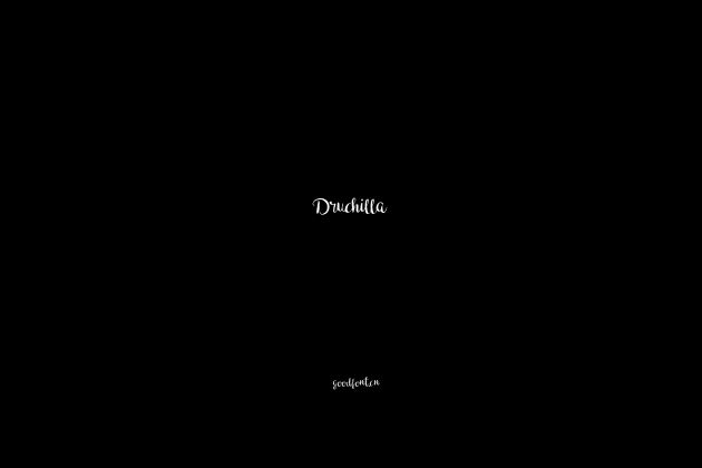Druchilla